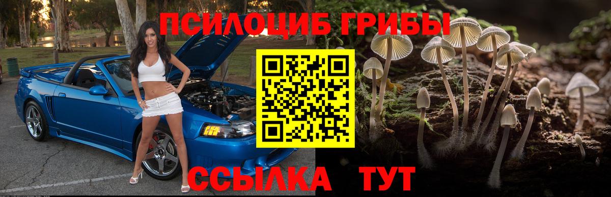 Галлюциногенные грибы MAGIC MUSHROOMS  Галлюциногенные грибы ЛСД  Всеволожск  Вход с VPN 