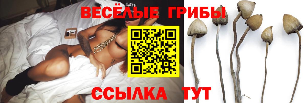 Псилоцибиновые грибы Всеволожск
